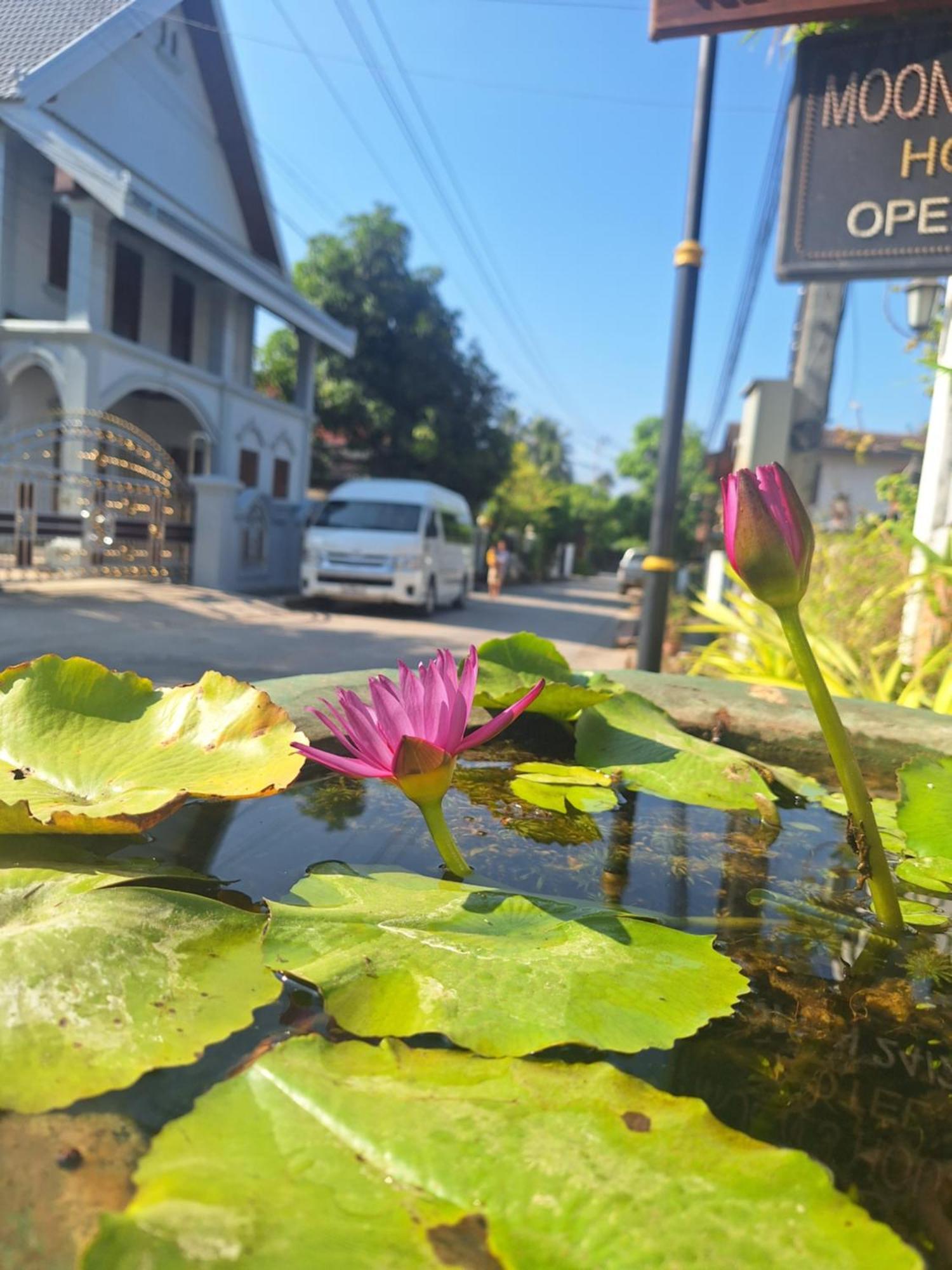 Le Khounsok Boutique Hotel Luang Prabang Eksteriør billede