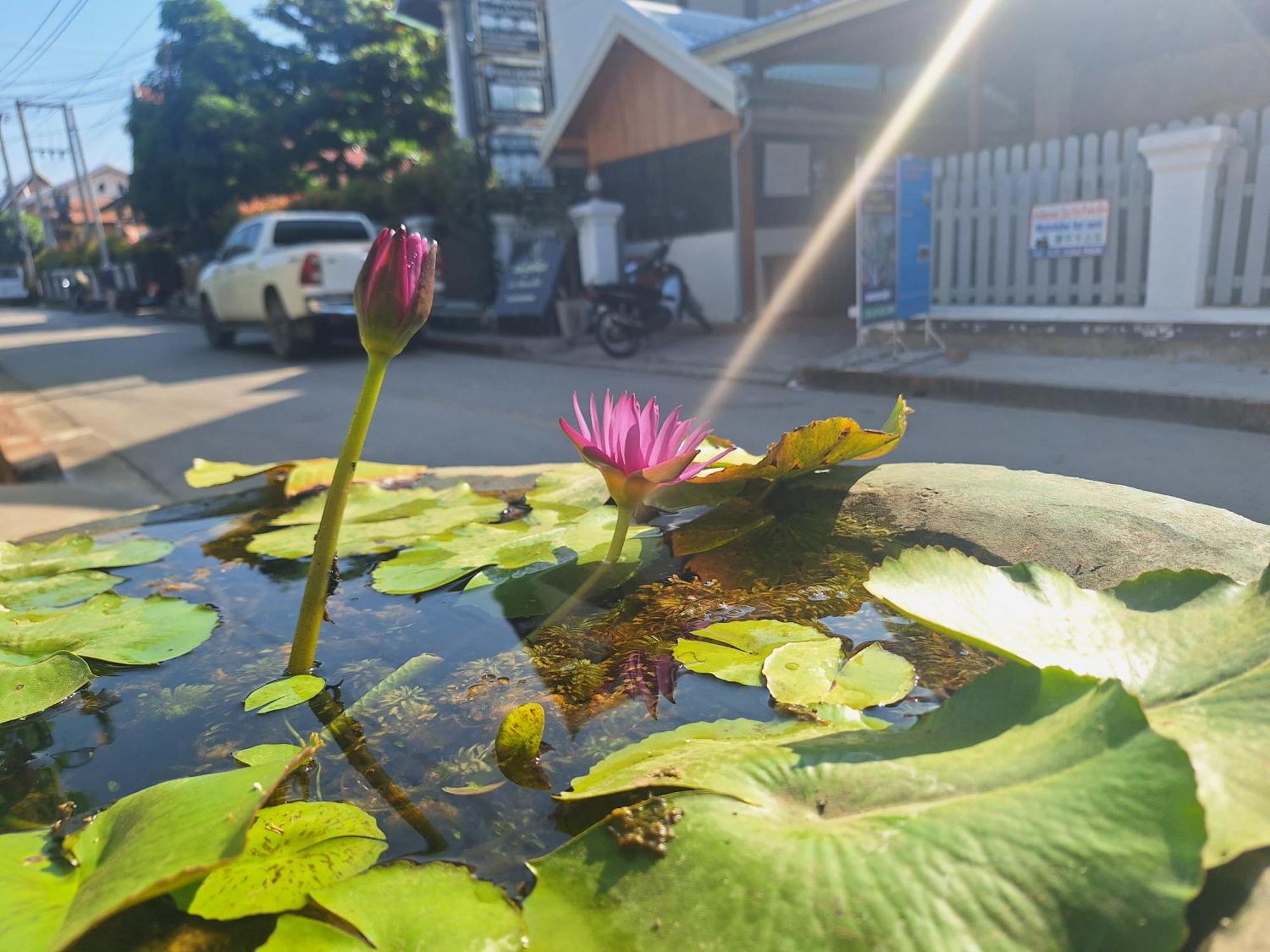 Le Khounsok Boutique Hotel Luang Prabang Eksteriør billede